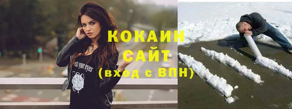 индика Магас