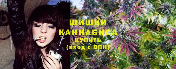 амф Мегион