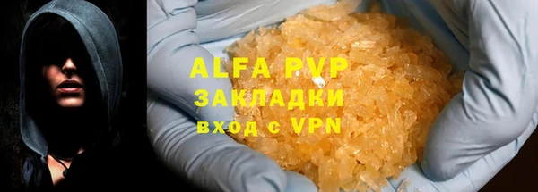 индика Магас
