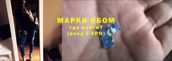индика Магас
