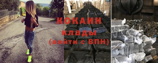 индика Магас