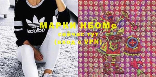 индика Магас