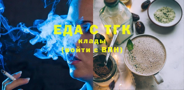 индика Магас
